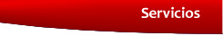 Servicios